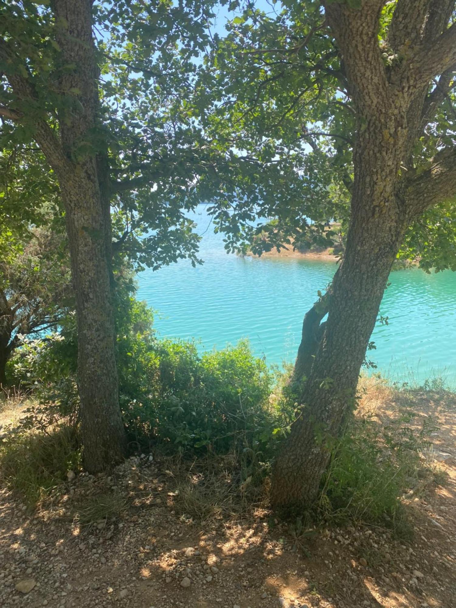 Appartement Studio Neuf Bas De Villa Gorges Du Verdon A Riez Dış mekan fotoğraf
